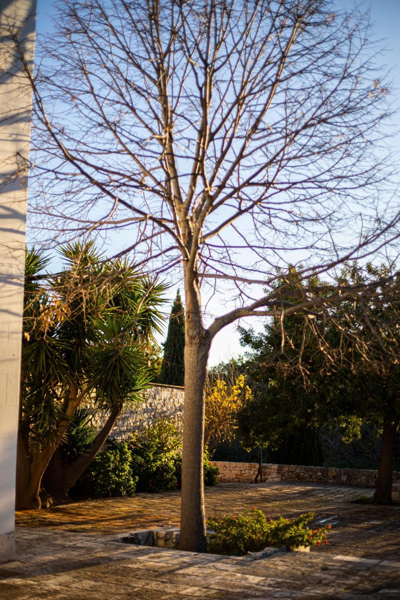 Masseria Del Crocifisso Полиняно а Маре Екстериор снимка
