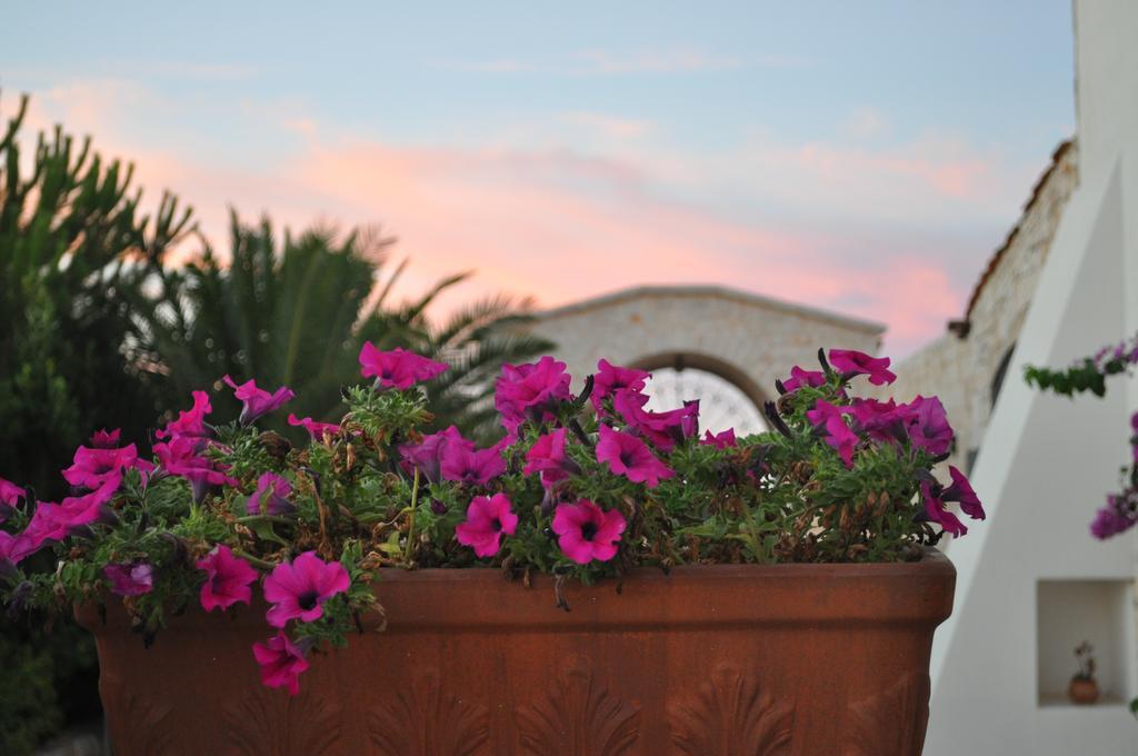 Masseria Del Crocifisso Полиняно а Маре Екстериор снимка